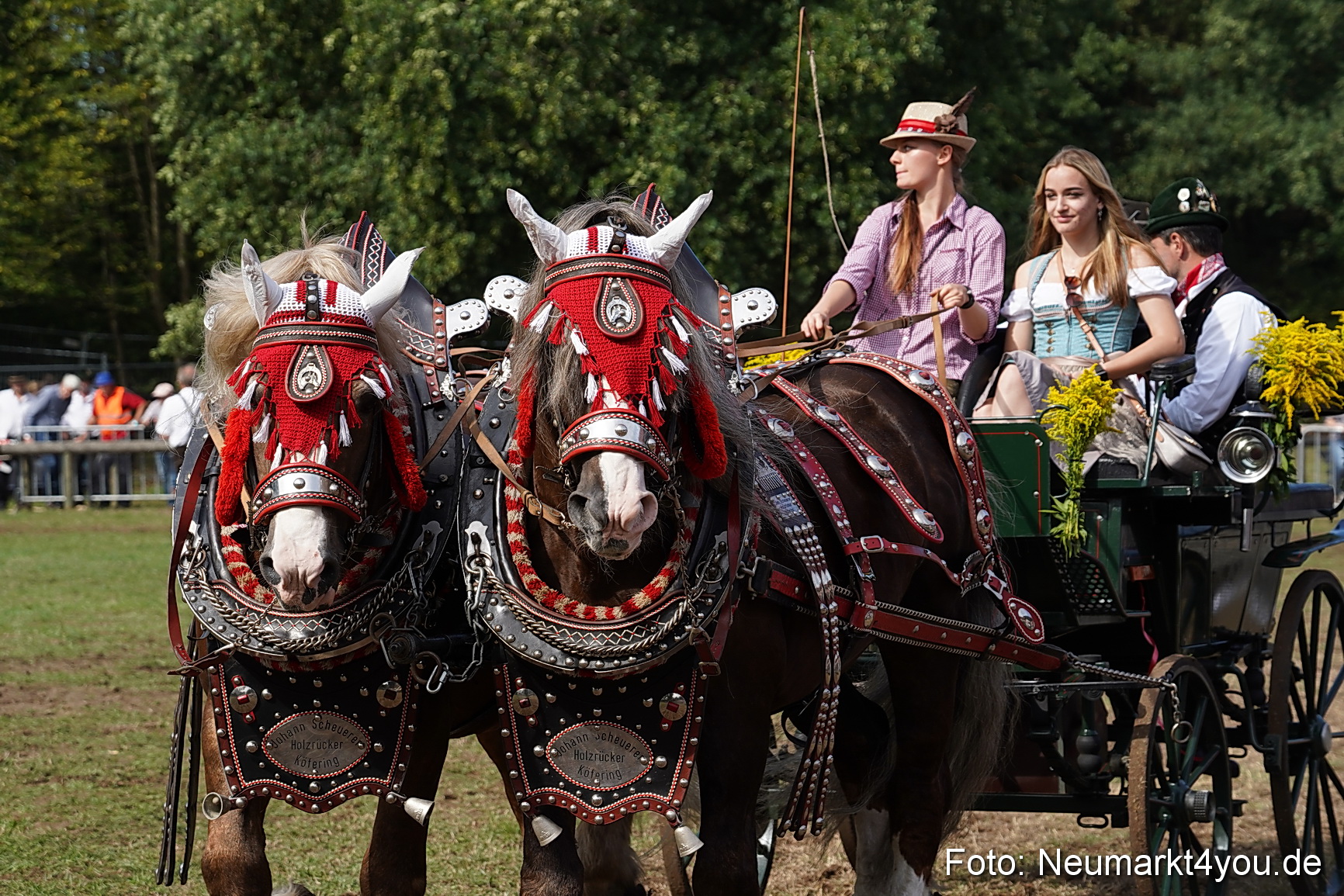 Pferde und Fohlenschau 2022 0238 
